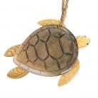 Gold M.O.P Turtle